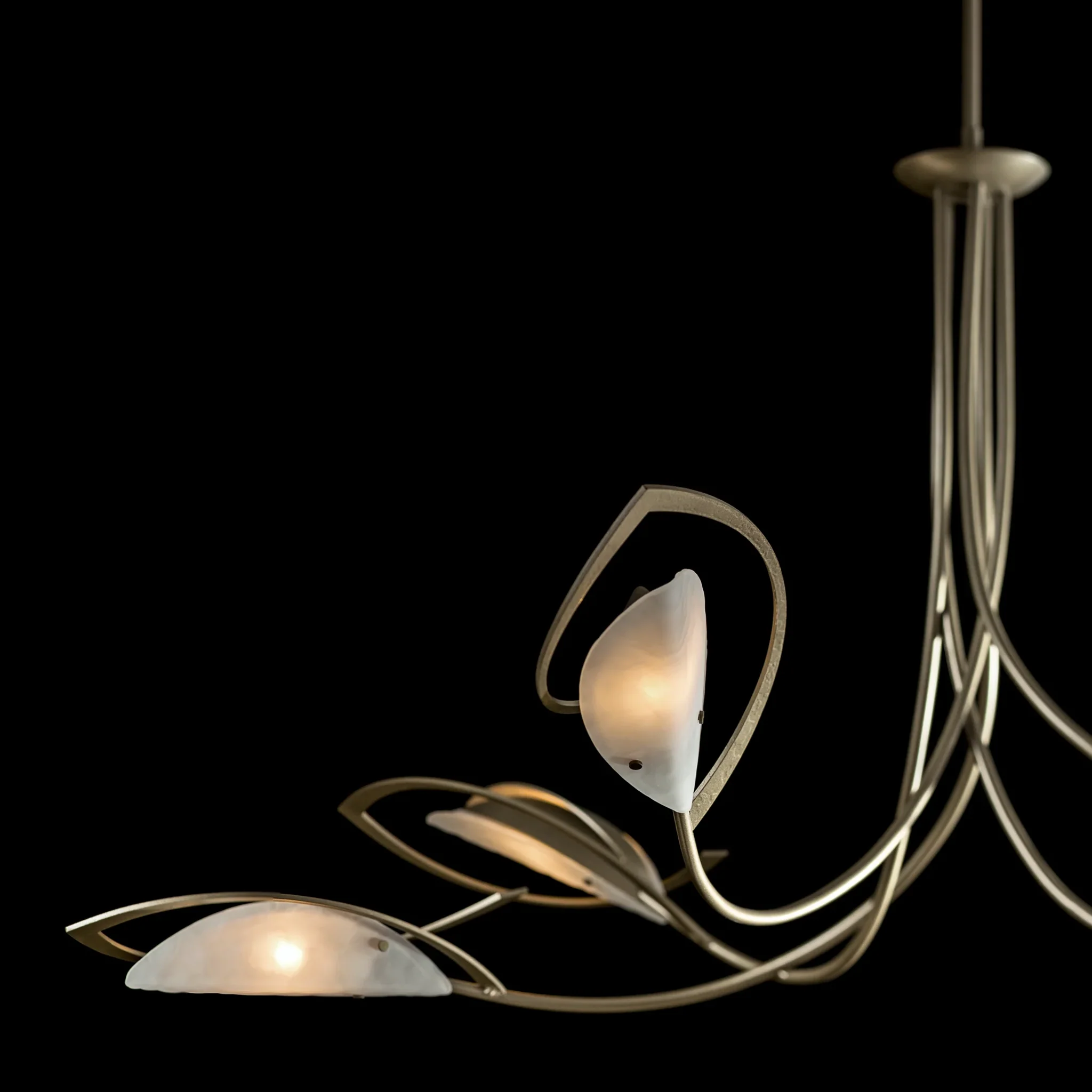 AERIAL 5LT CHANDELIER - Image 4