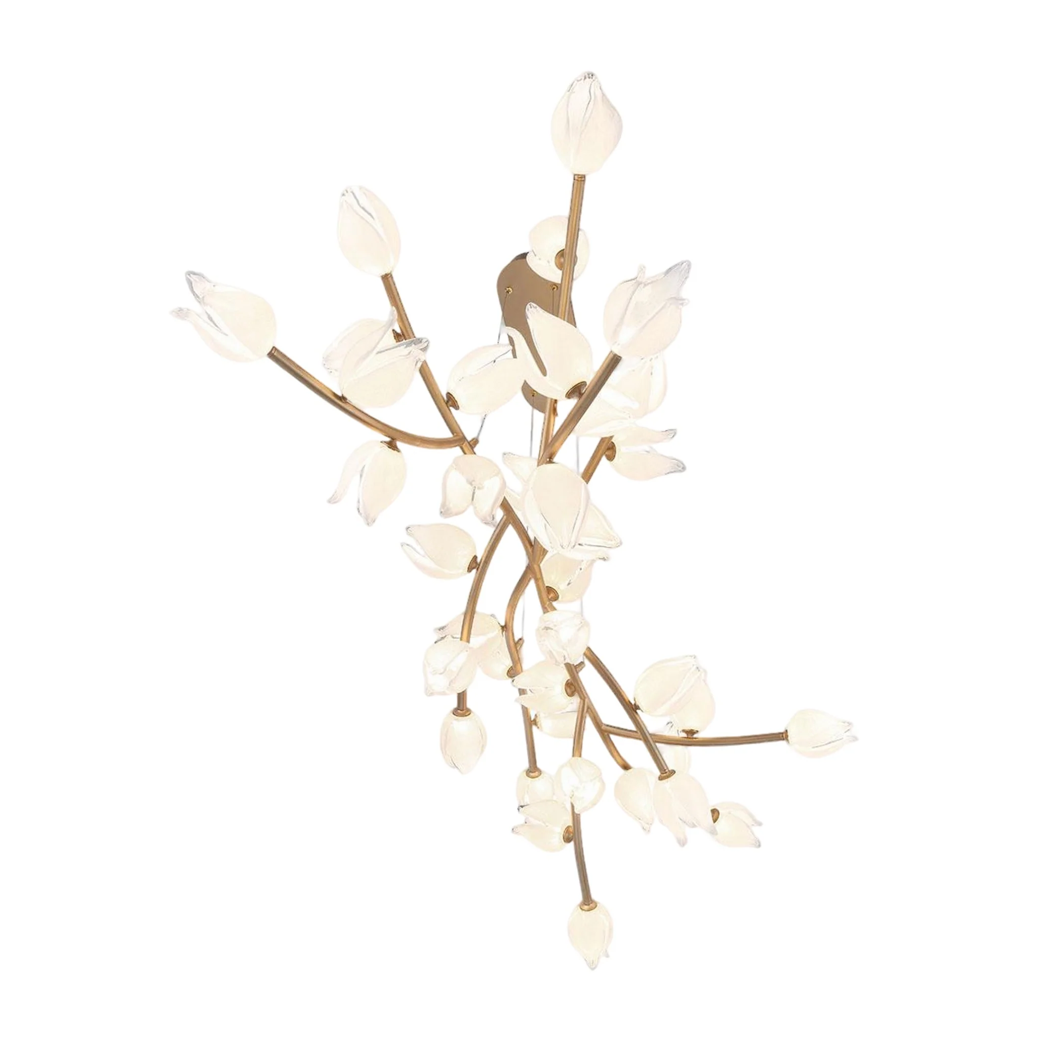 BELLUNO OVAL LED CHANDELIER (MULTIPLE SIZES) - Image 6
