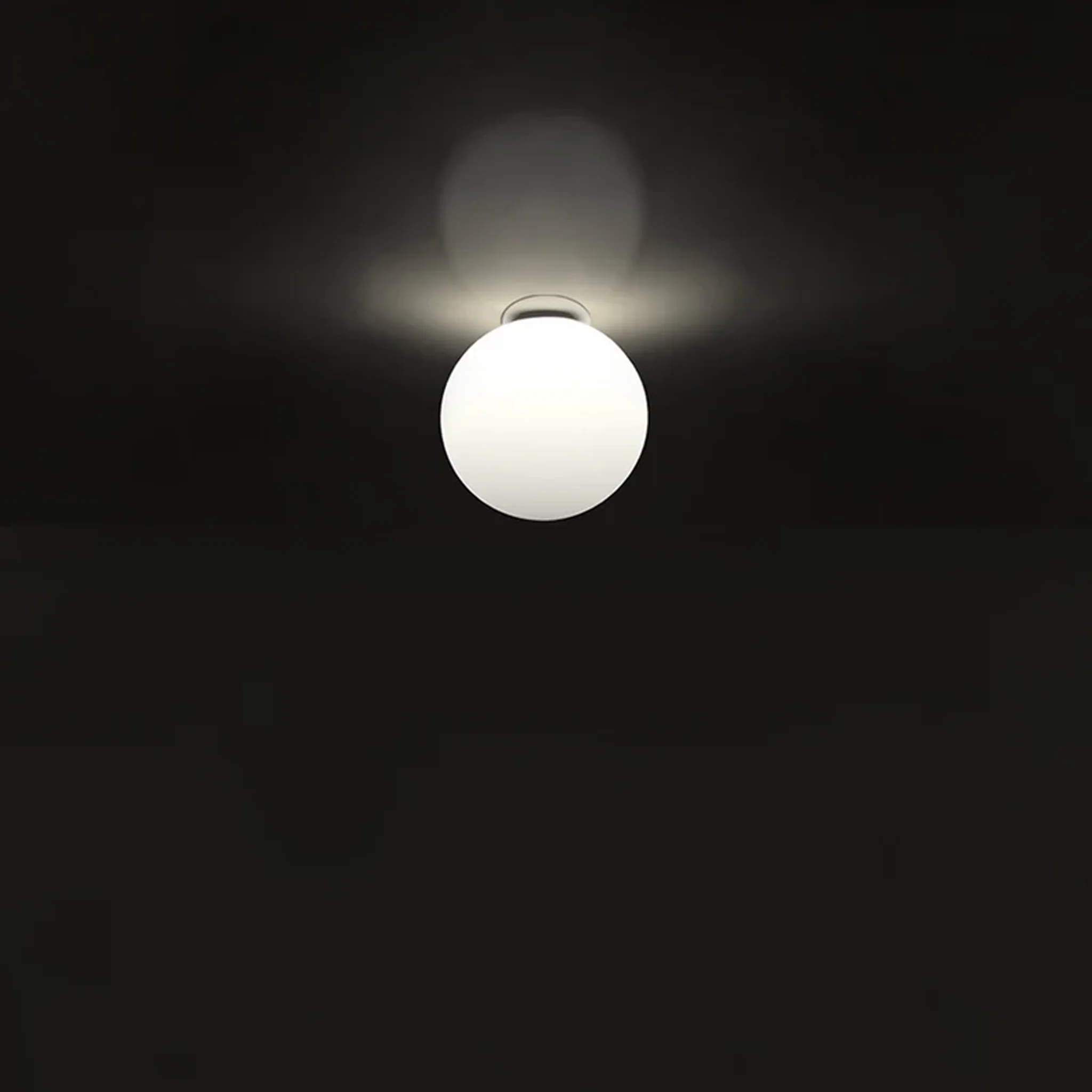 DIOSCURI 14 WALL/CEILING LAMP - Image 2