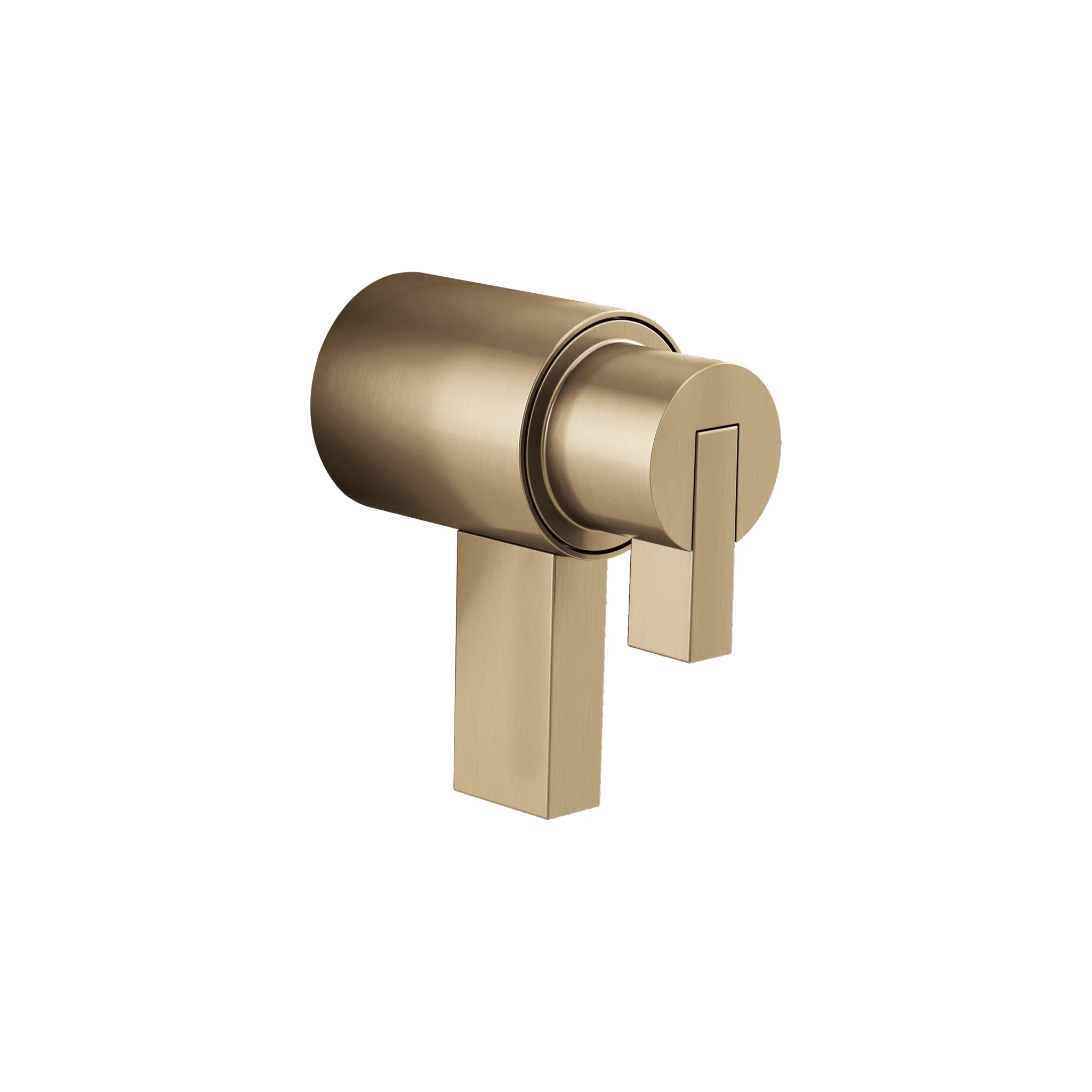 LITZE® TEMPASSURE® THERMOSTATIC TRIM HANDLE KIT - LEVER