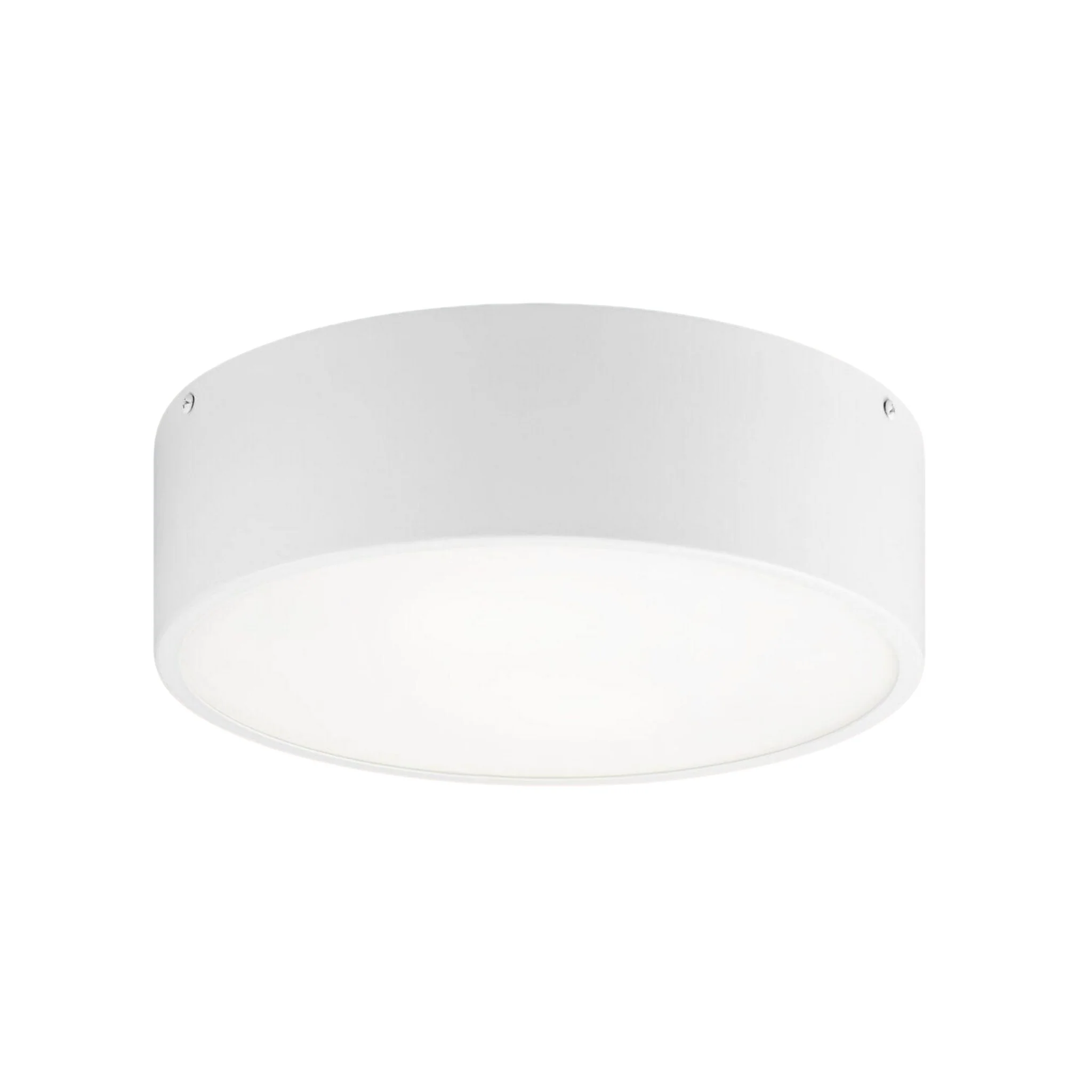 SNARE 12" 2 LIGHT FLUSH MOUNT