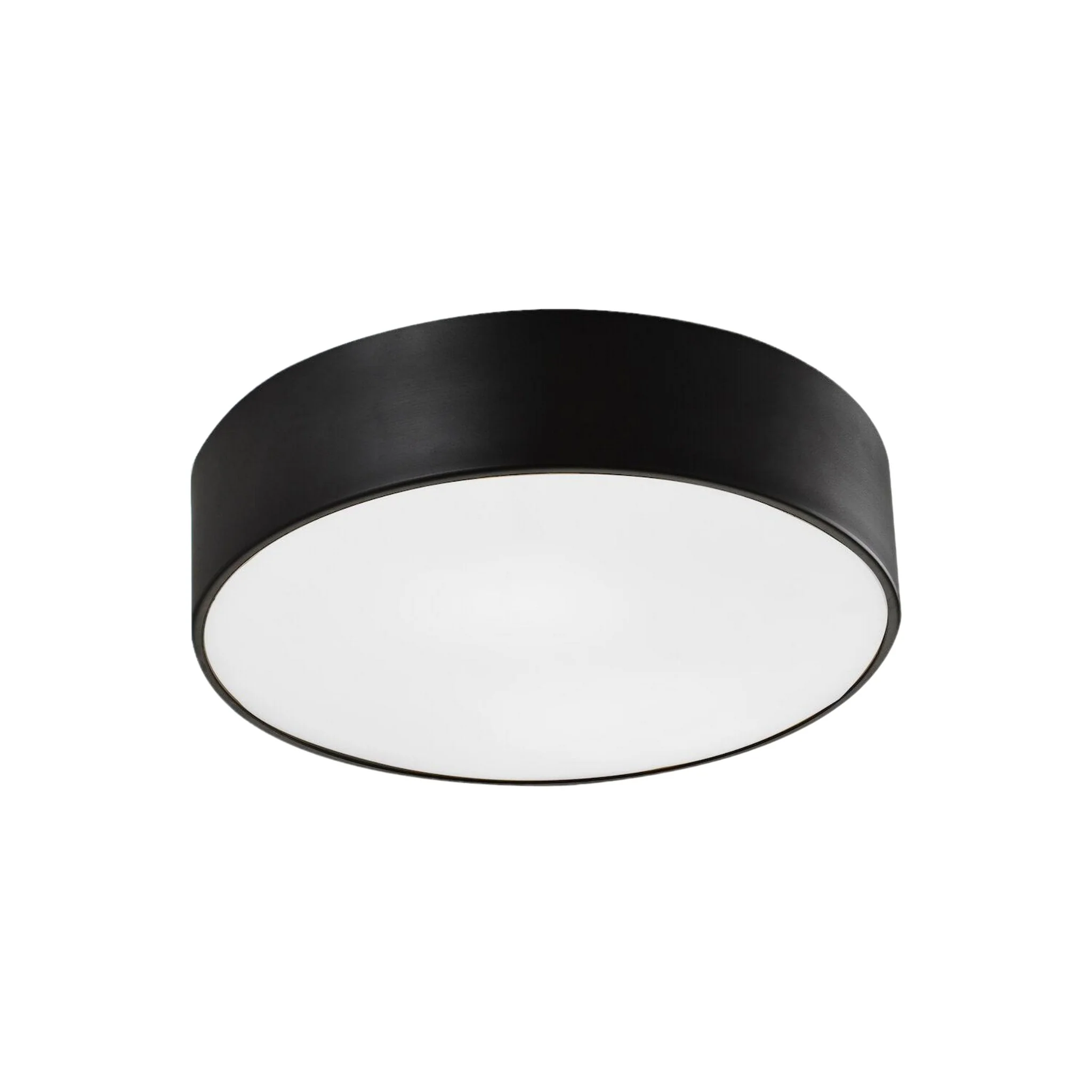 SNARE 12" 2 LIGHT FLUSH MOUNT - Image 3
